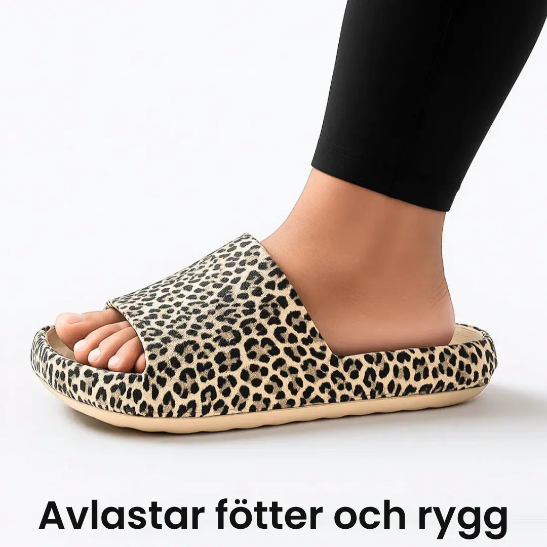 Mjuva CloudSlides