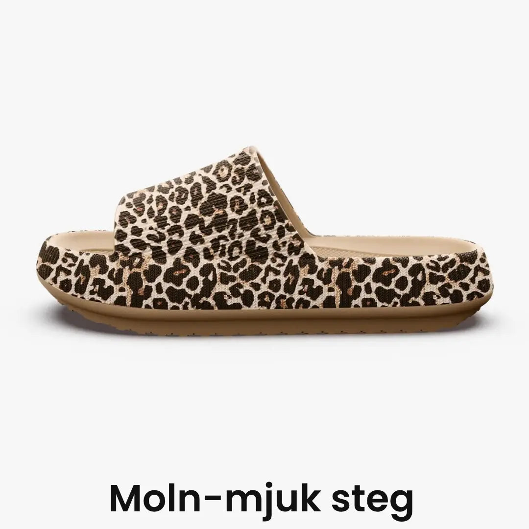 Mjuva CloudSlides
