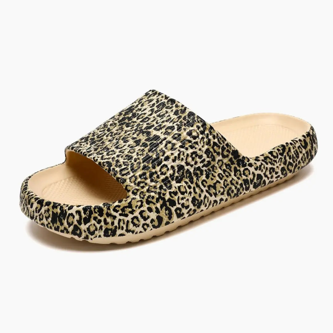 Mjuva CloudSlides